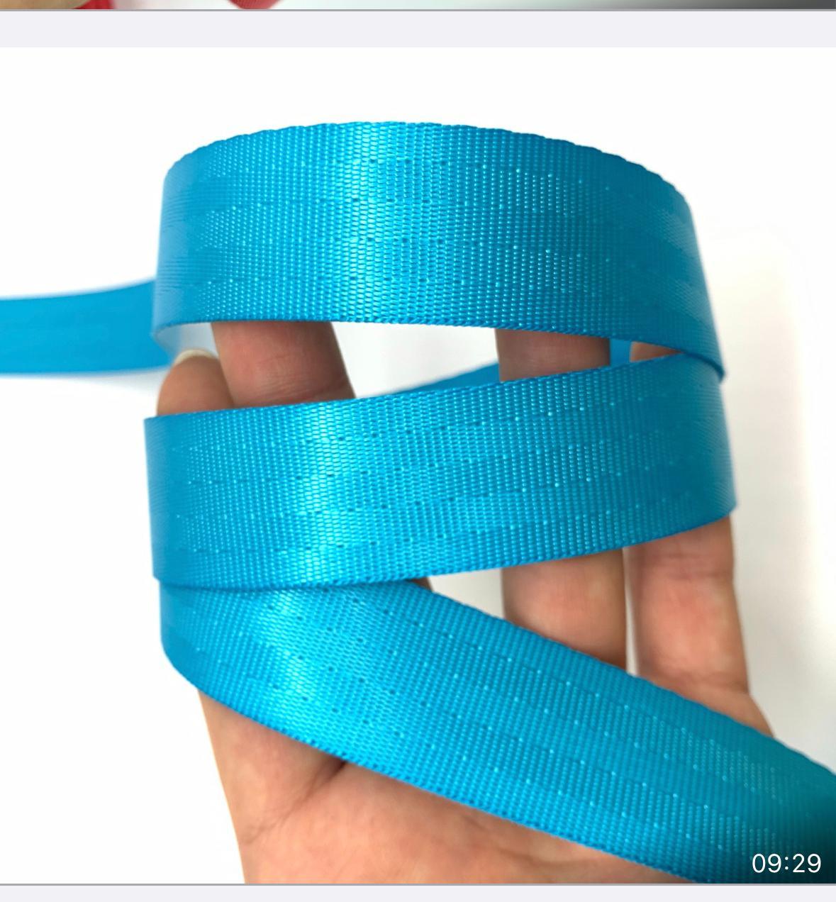 Aqua 25mm Seatbelt Webbing Tape